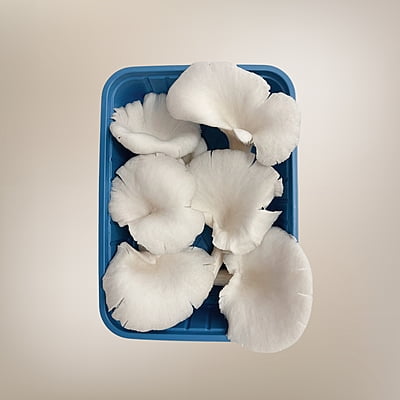 Purely Fresh White Oyster Mushrooms (200 Gram) Free Shipping